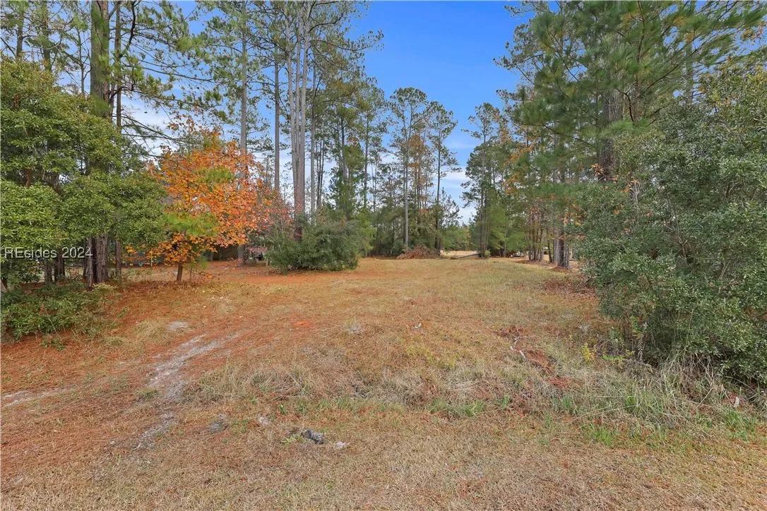 201 Graham Hall, Ridgeland, SC 29936, 449322 - Photo 1