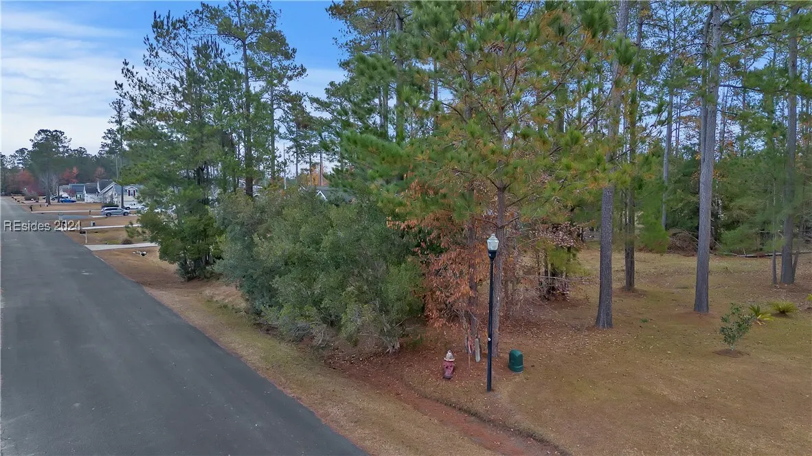 201 Graham Hall, Ridgeland, SC 29936, 449322 - Photo 6