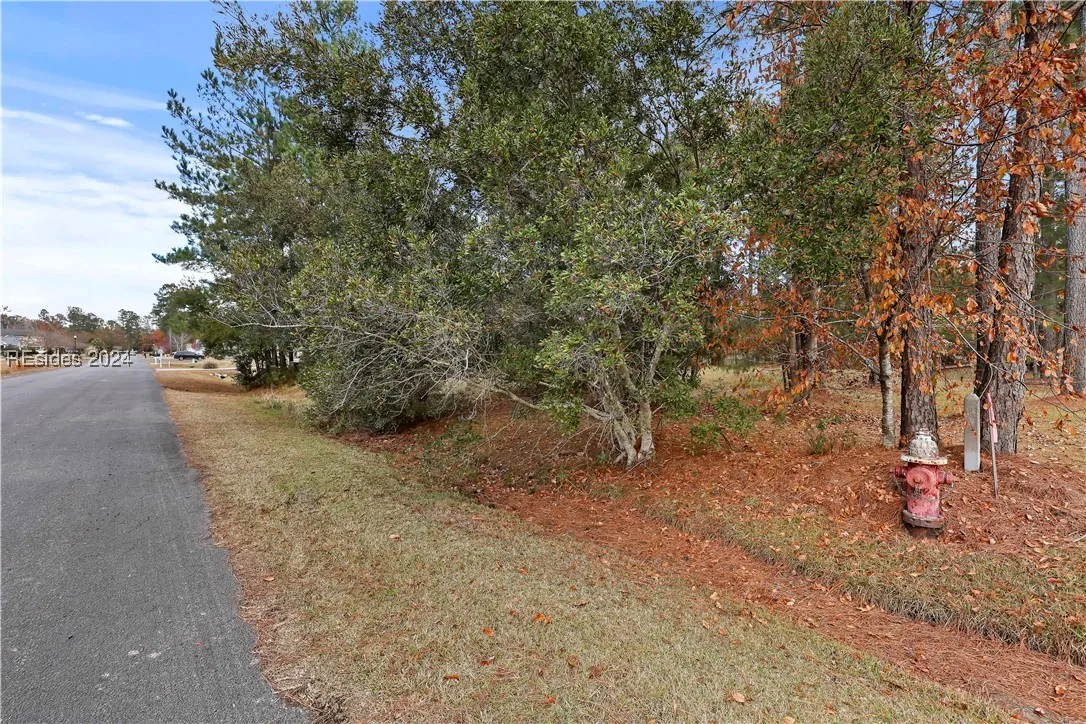 201 Graham Hall, Ridgeland, SC 29936, 449322 - Photo 5