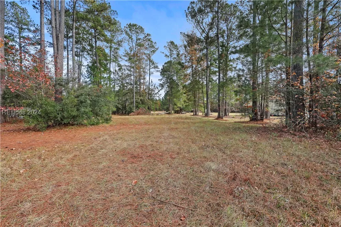201 Graham Hall, Ridgeland, SC 29936, 449322 - Photo 4