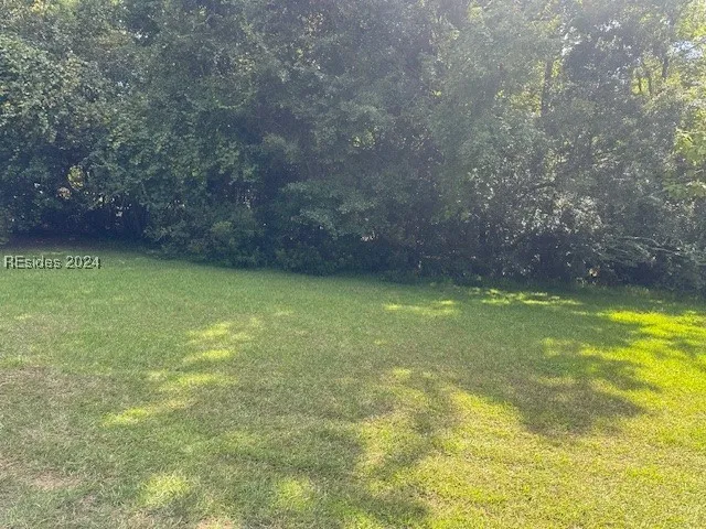 TBD Middle Street, Hampton, SC 29924, 449471 - Photo 1