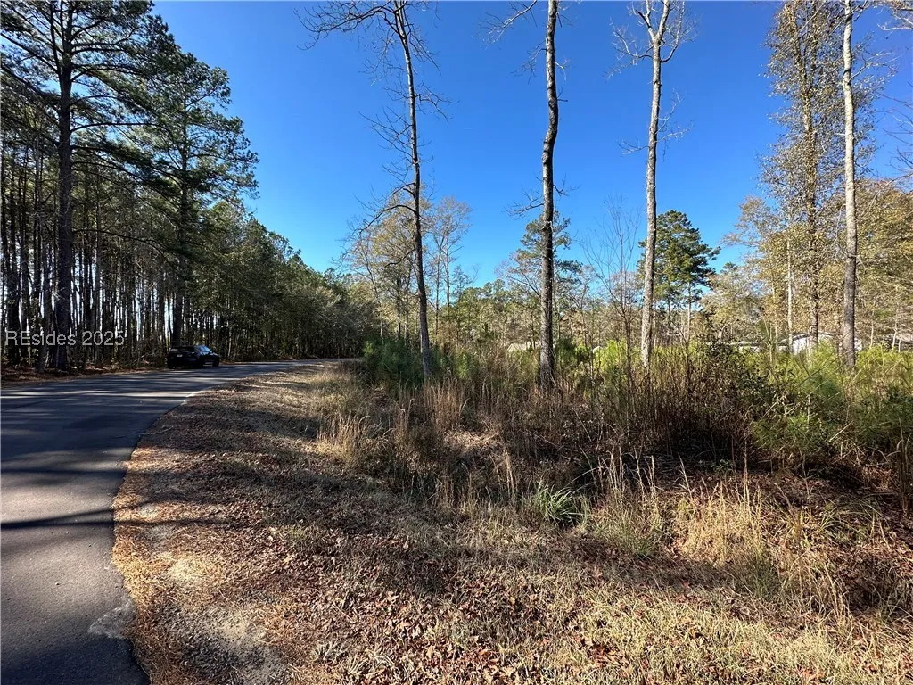 Gooding Street Varnville SC 29944
