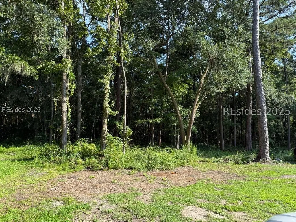 23 Joe Frazier Road Beaufort SC 29906