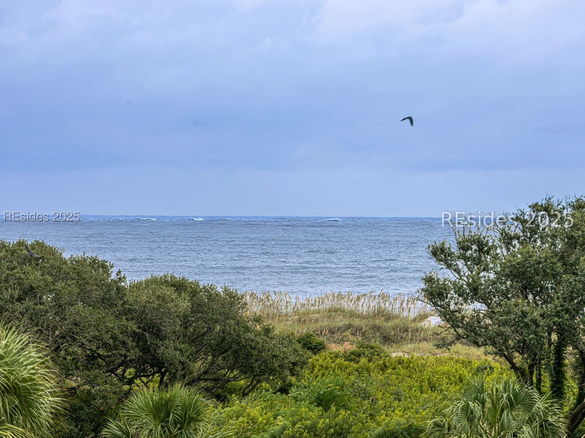  - Photo 33