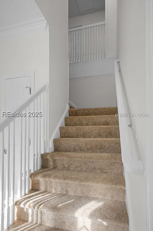  - Photo 20