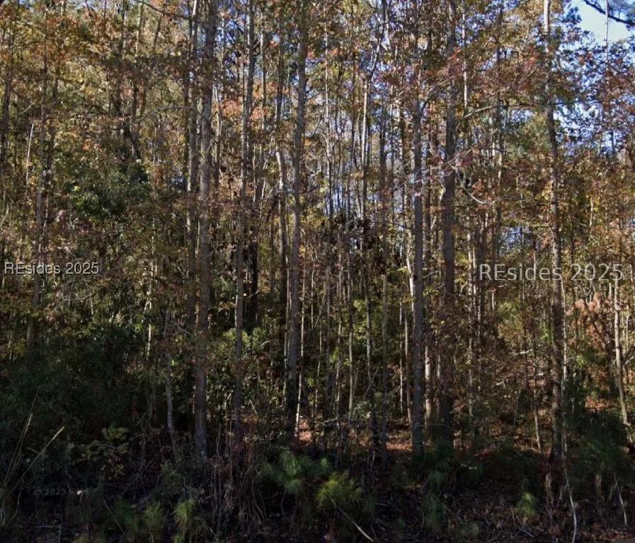 Cotton Hill Road Pineland SC 29934