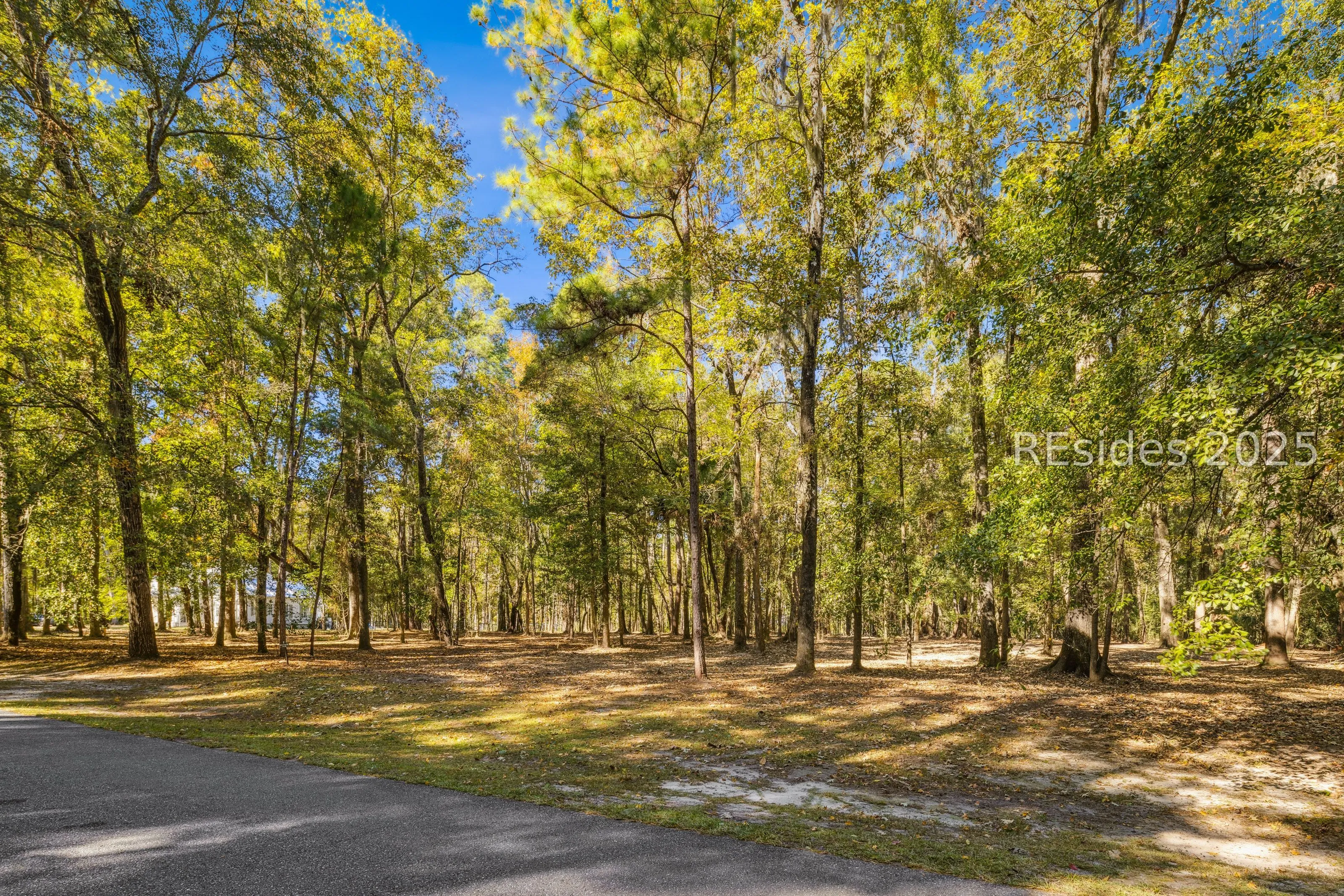 217 Mc Allister Landing Richmond Hill GA 31324