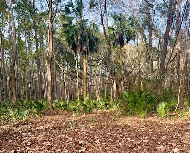 46 Bryan Road Daufuskie Island SC 29915