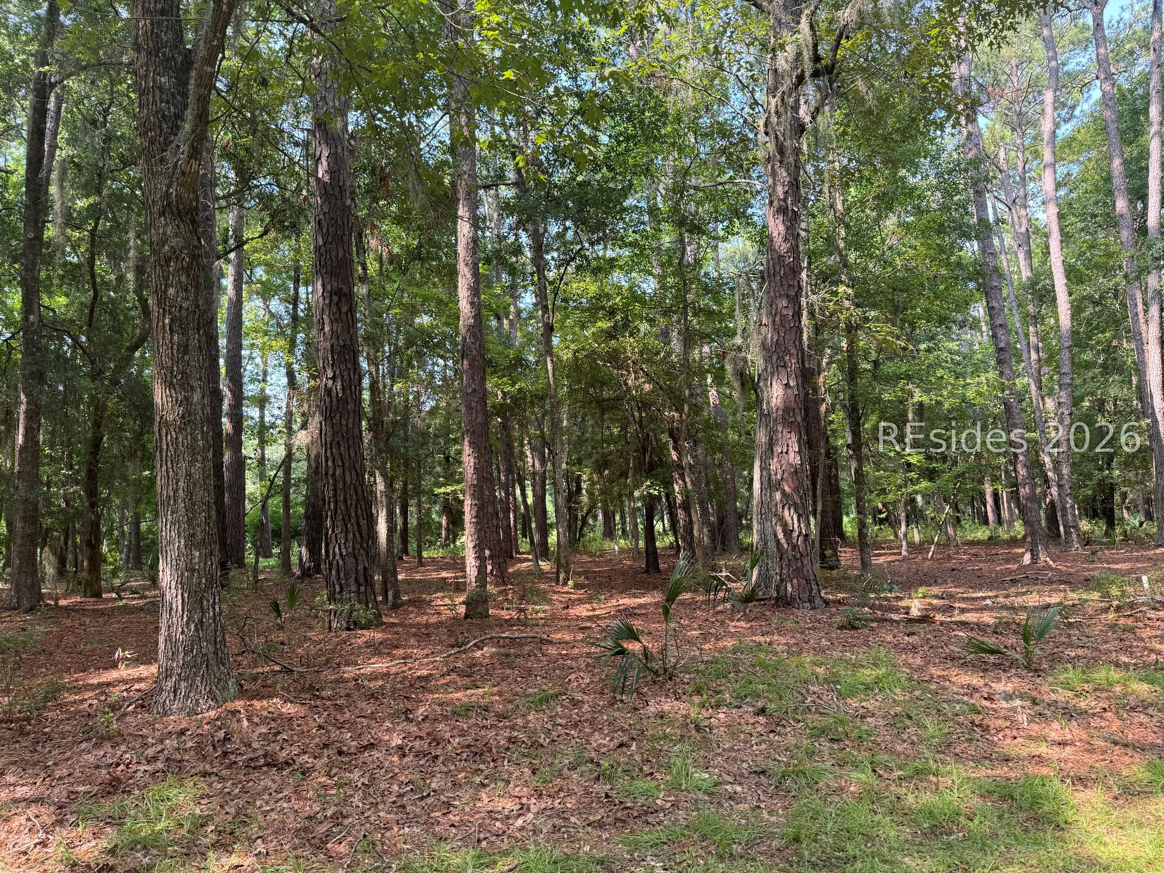 18 Captain Monroe Lane Daufuskie Island SC 29915