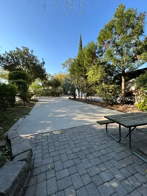  - Photo 7