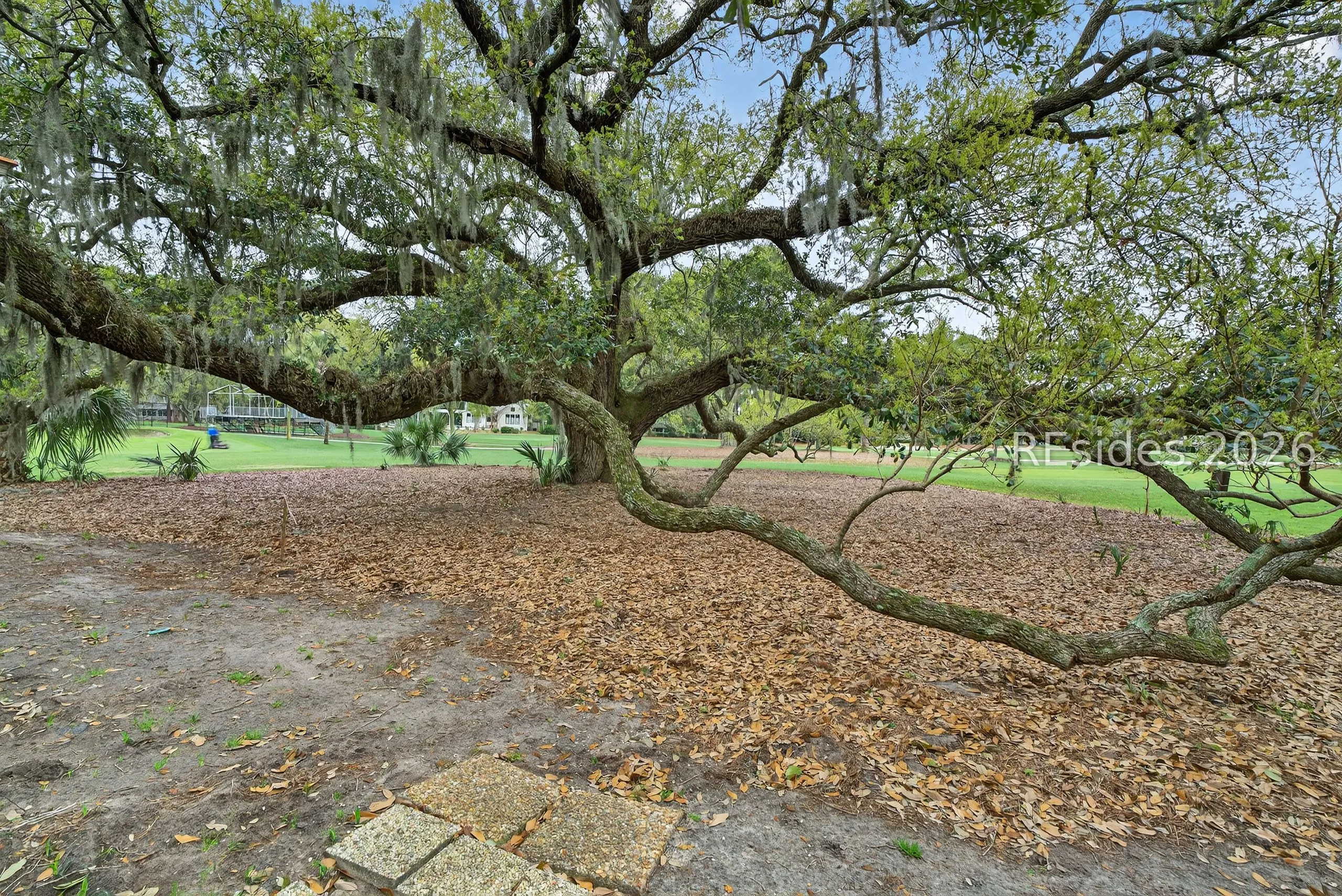  - Photo 28