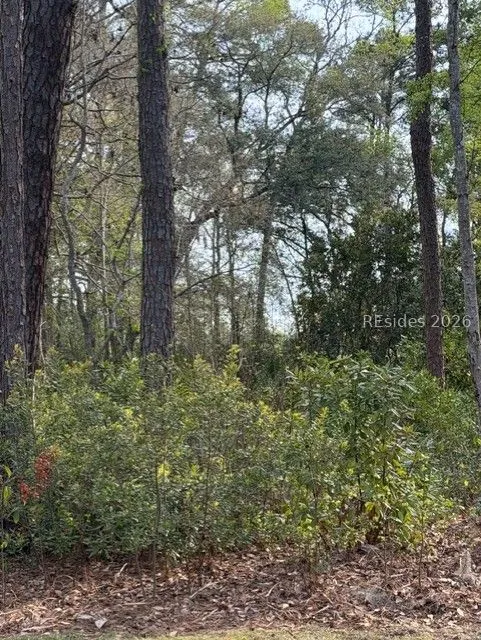  - Photo 2