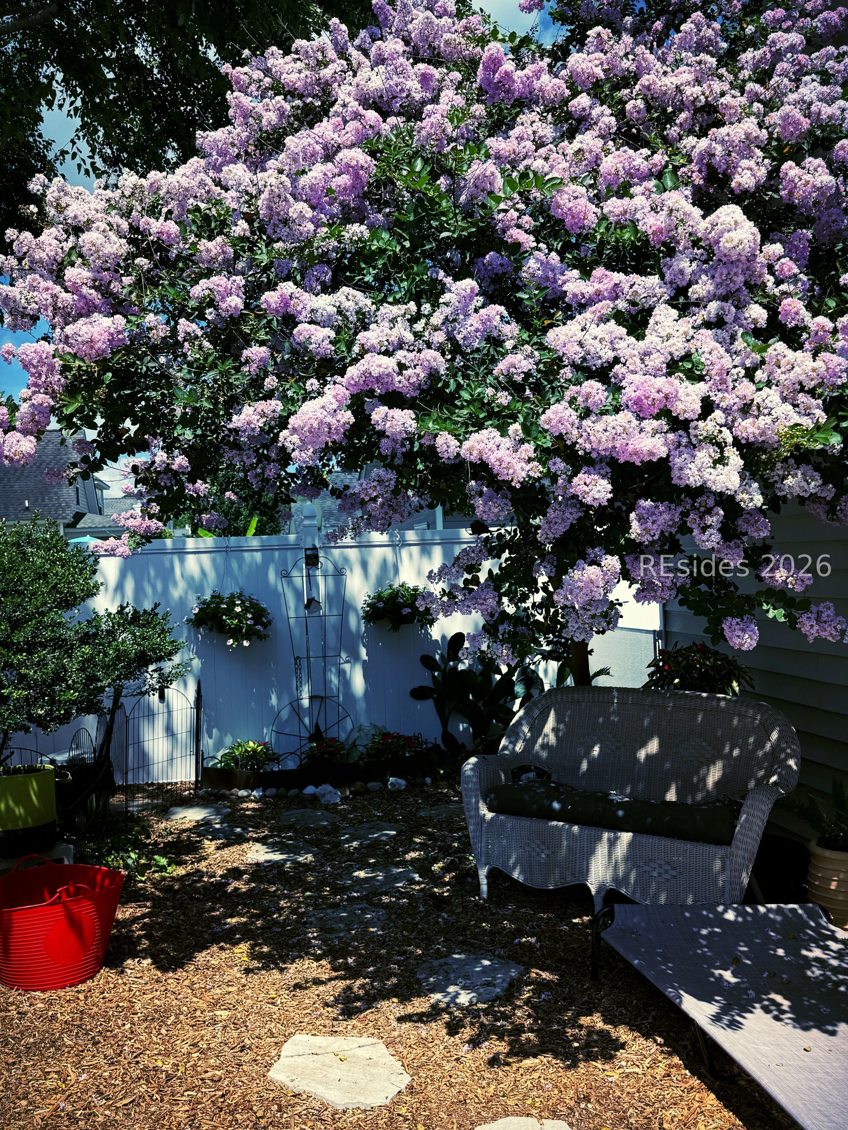  - Photo 39