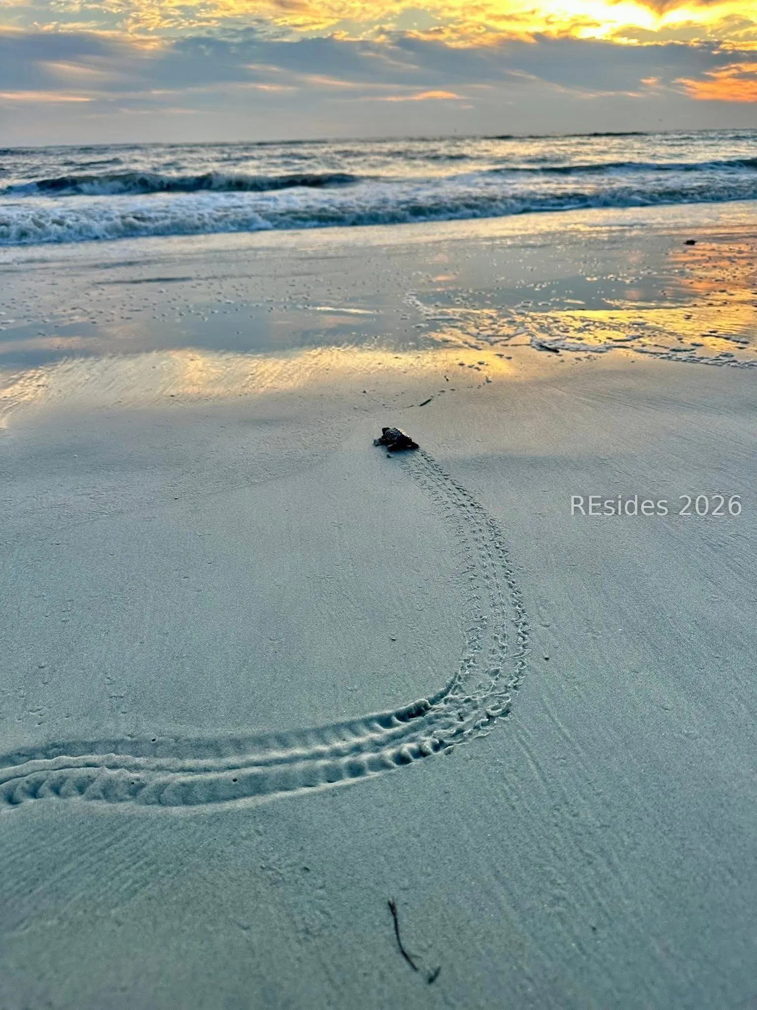  - Photo 27
