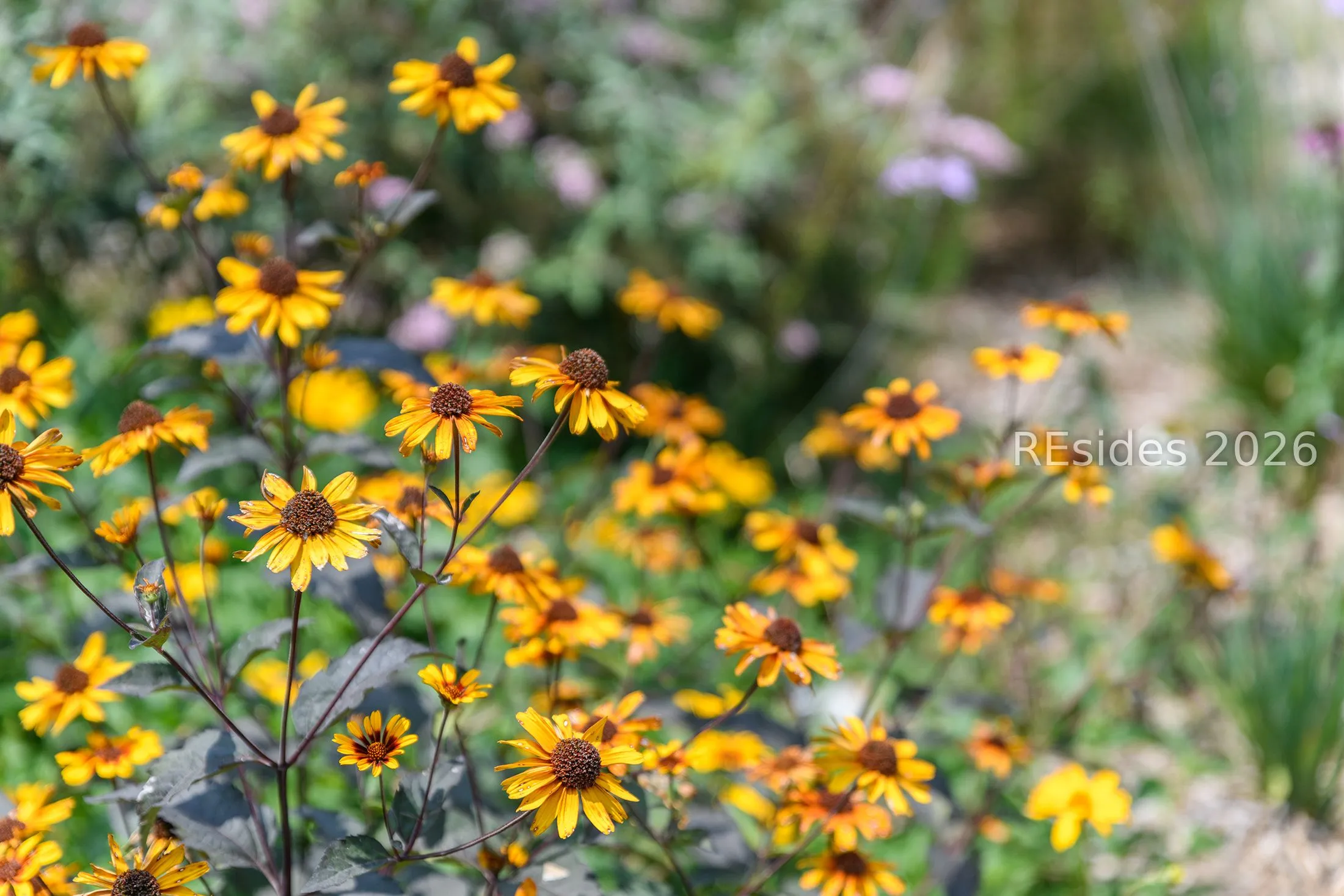  - Photo 46