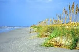  - Photo 33