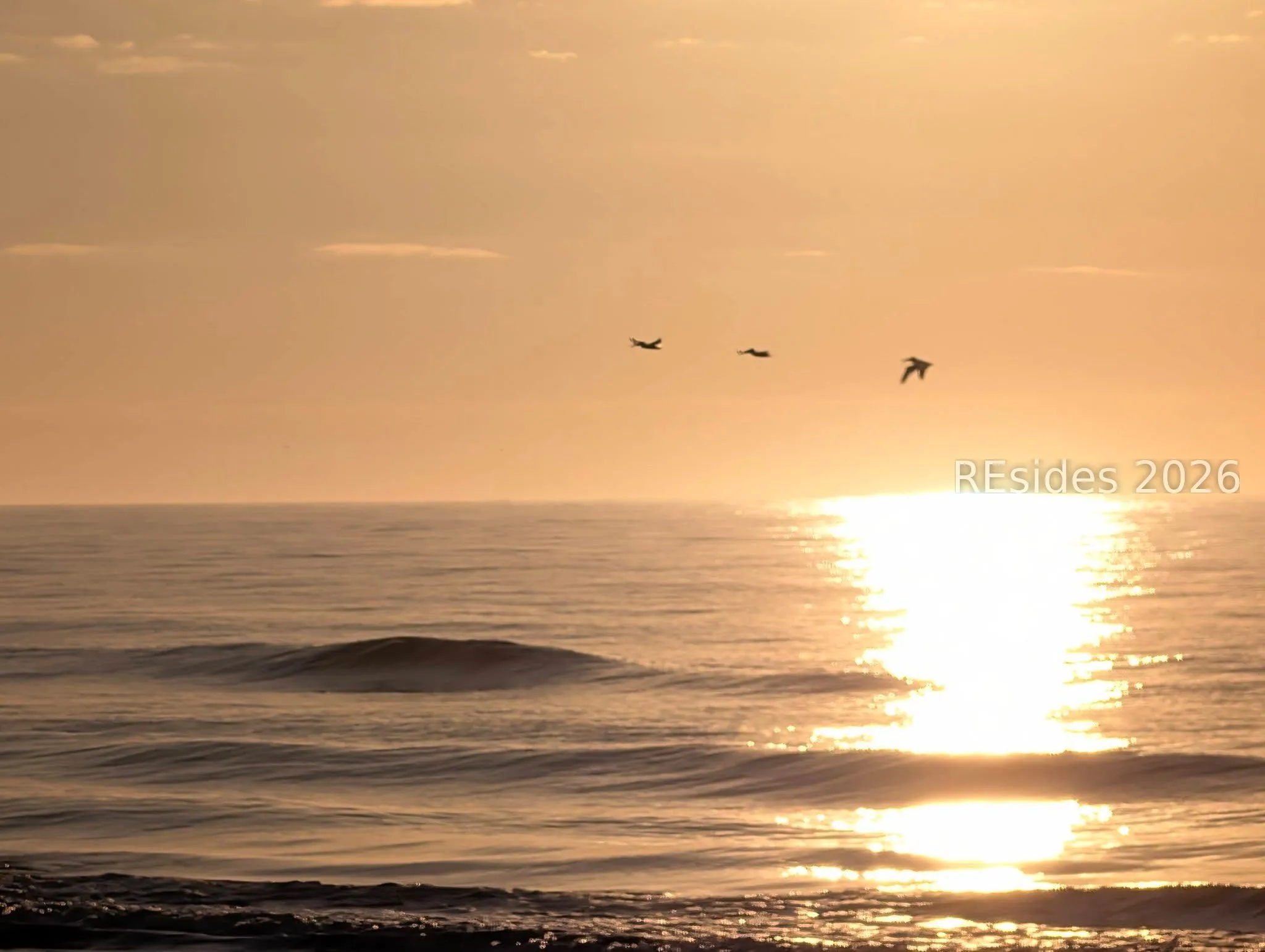  - Photo 41