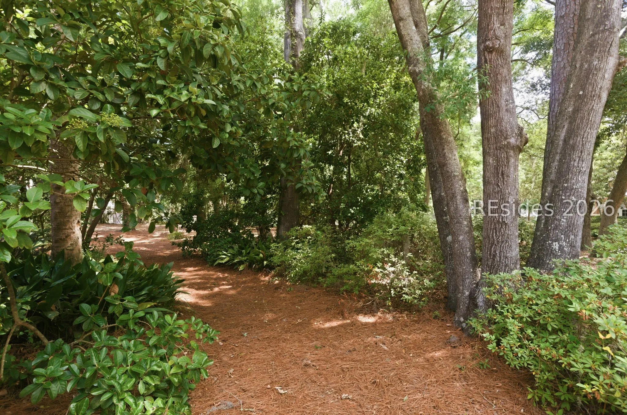  - Photo 34
