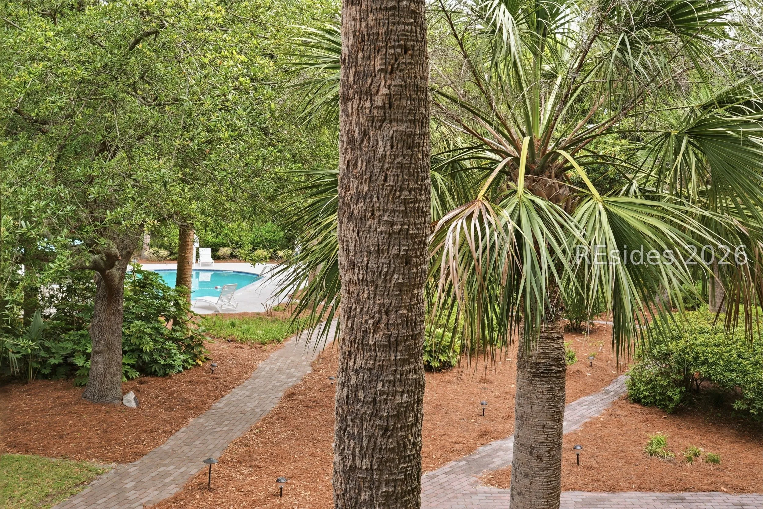  - Photo 24