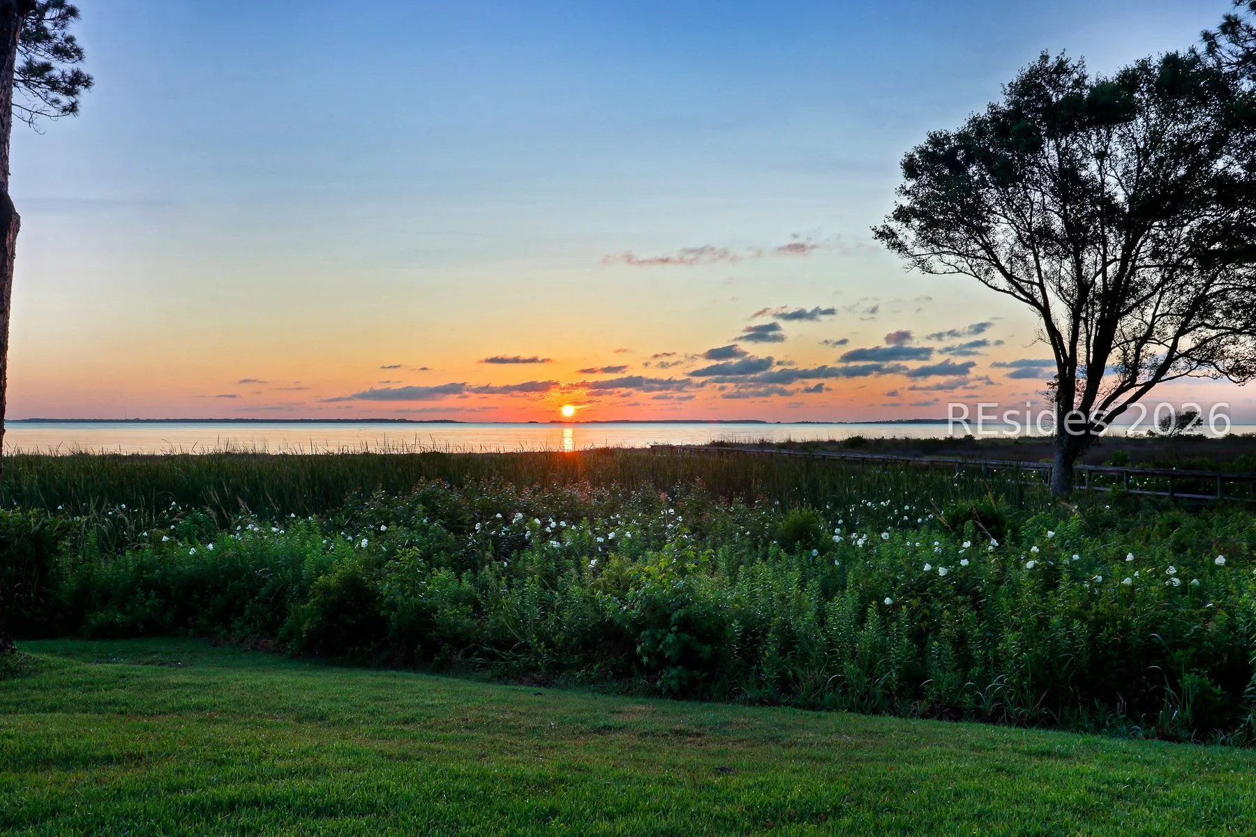  - Photo 4