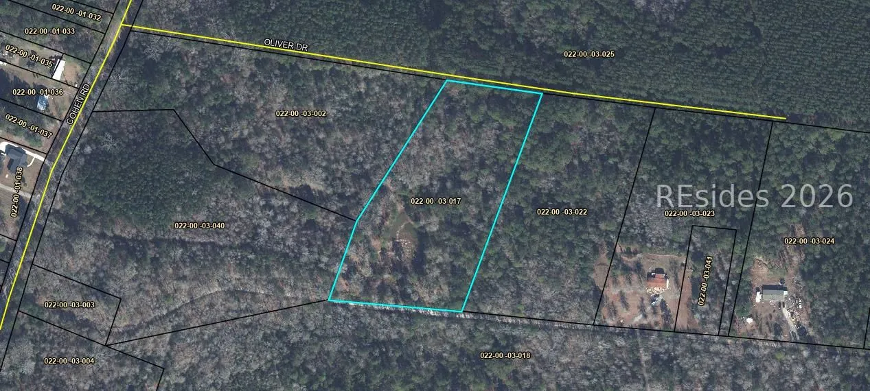 TBD Oliver Dr Pineland SC 29934