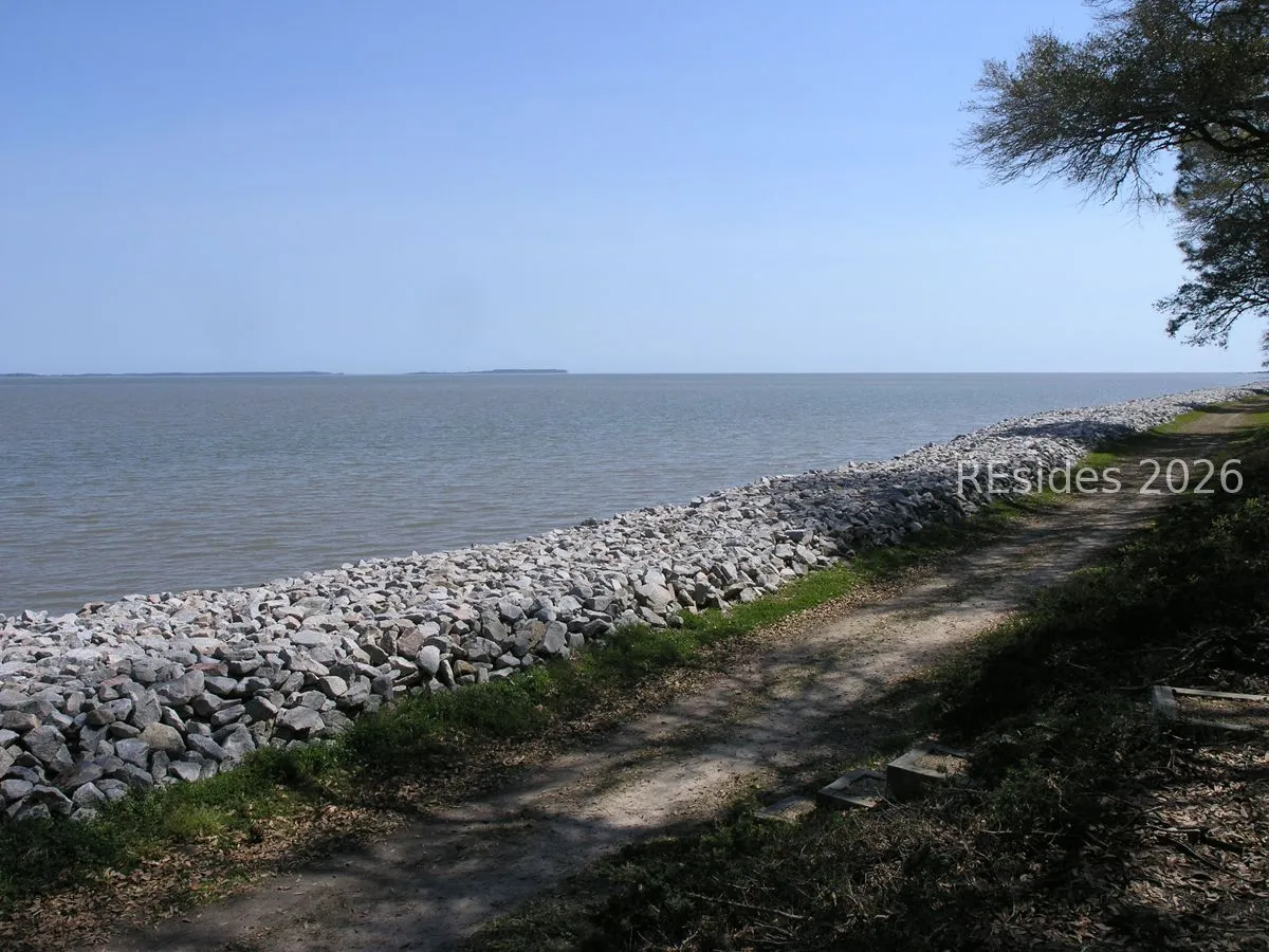  - Photo 61