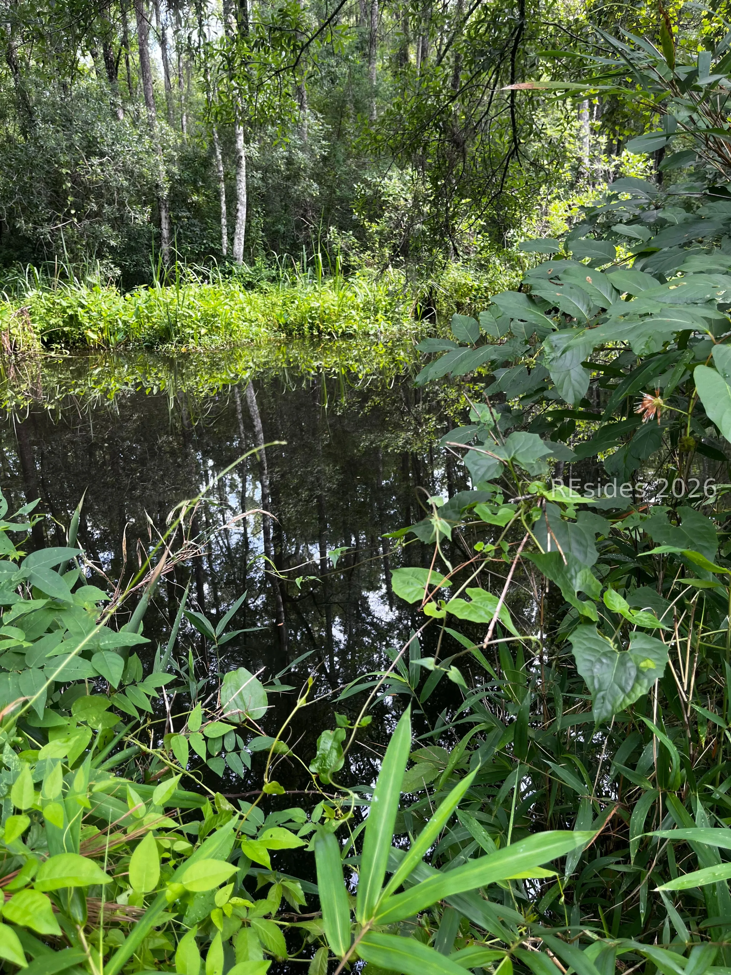  - Photo 5