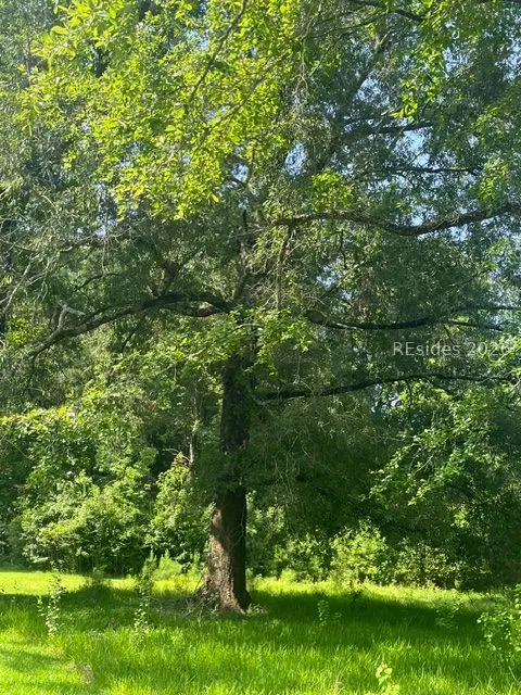  - Photo 5