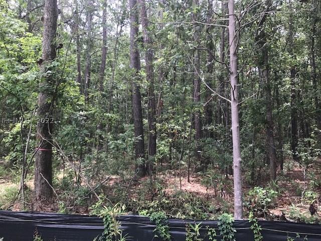 TBD Lost Oaks Drive, Bluffton, SC 29910, 370319