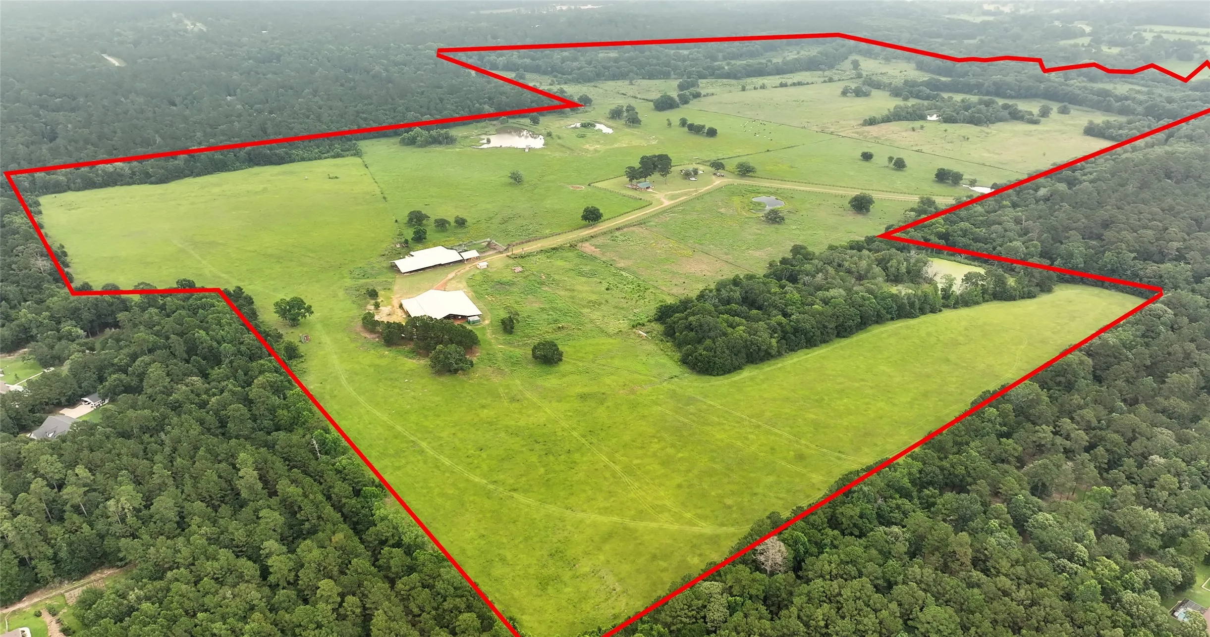 Farm For Sale