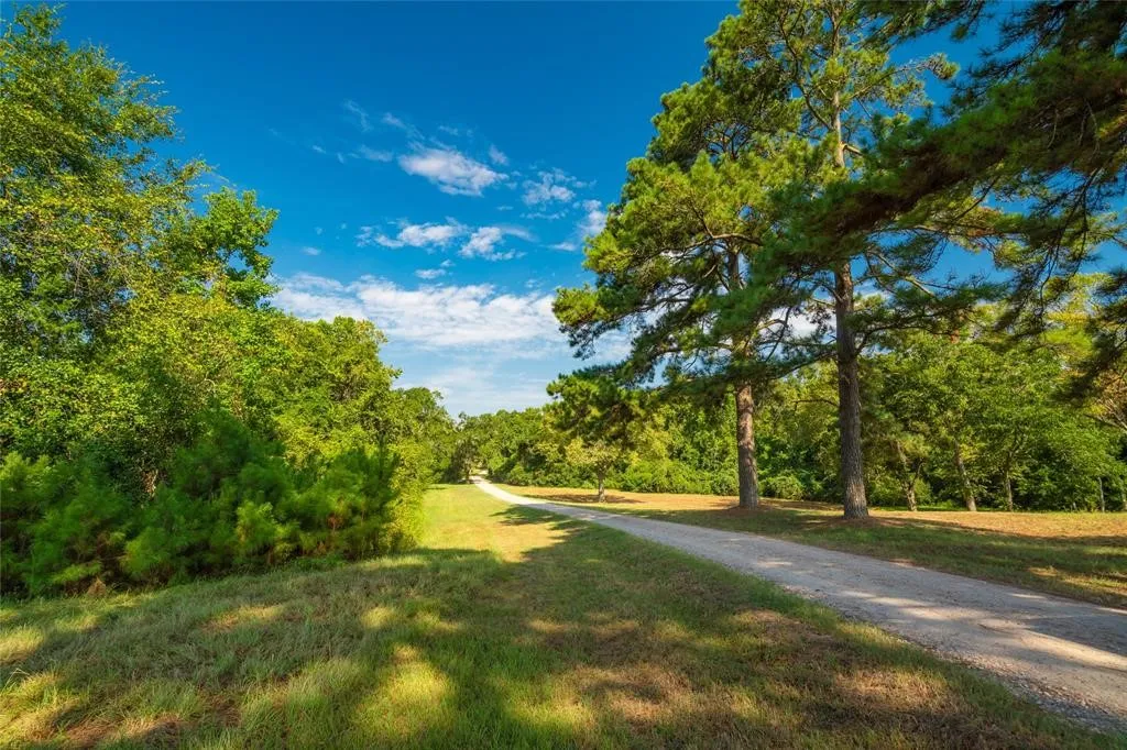 Farm For Sale