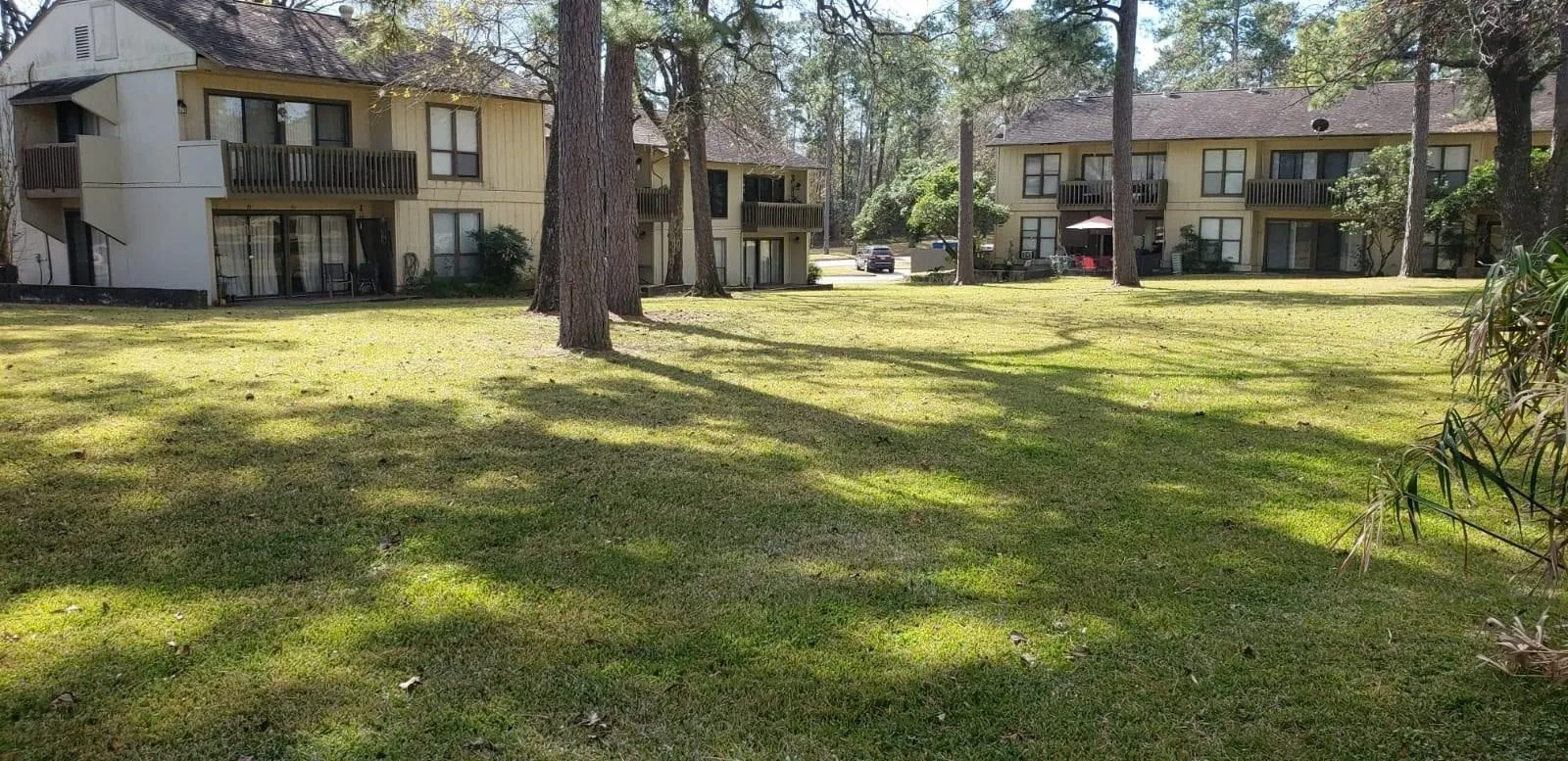 Residential Lease For Rent