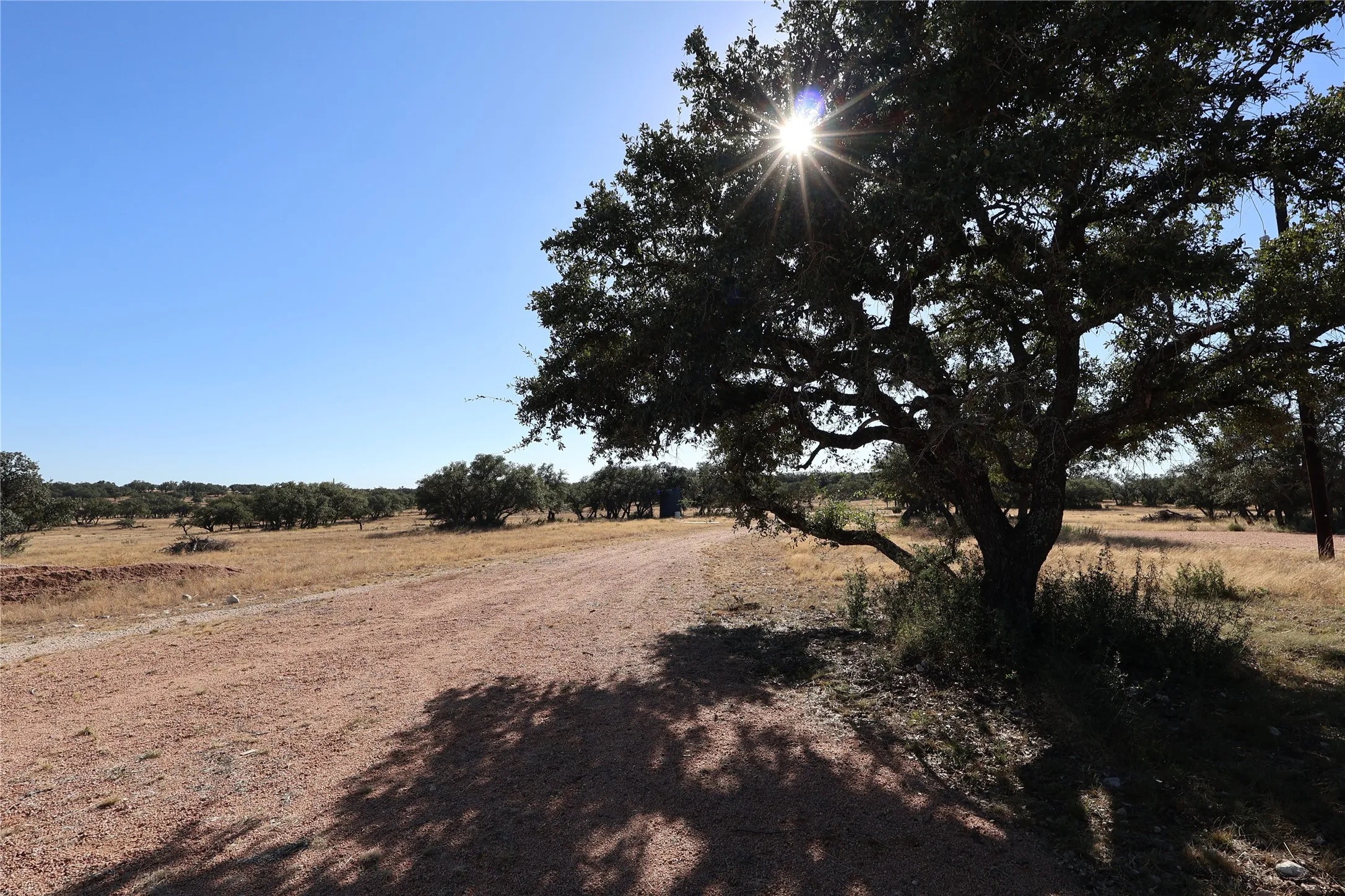 Farm For Sale