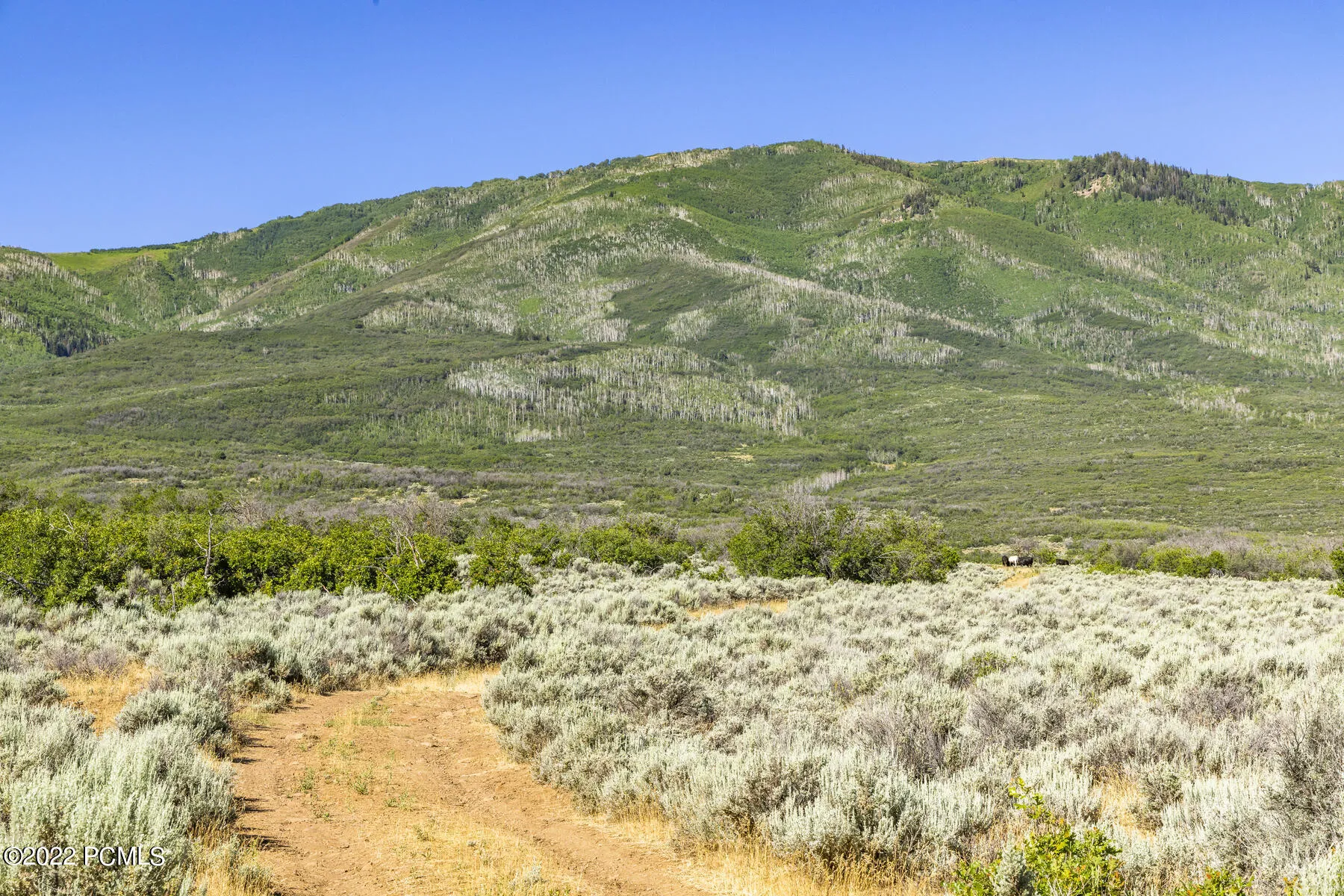 2120 Little Valley Rd, Wallsburg, UT 84082