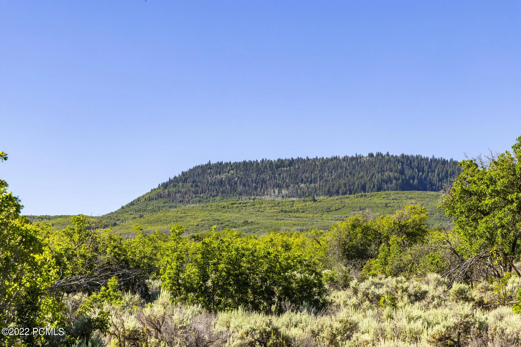 2120 Little Valley Rd, Wallsburg, UT 84082