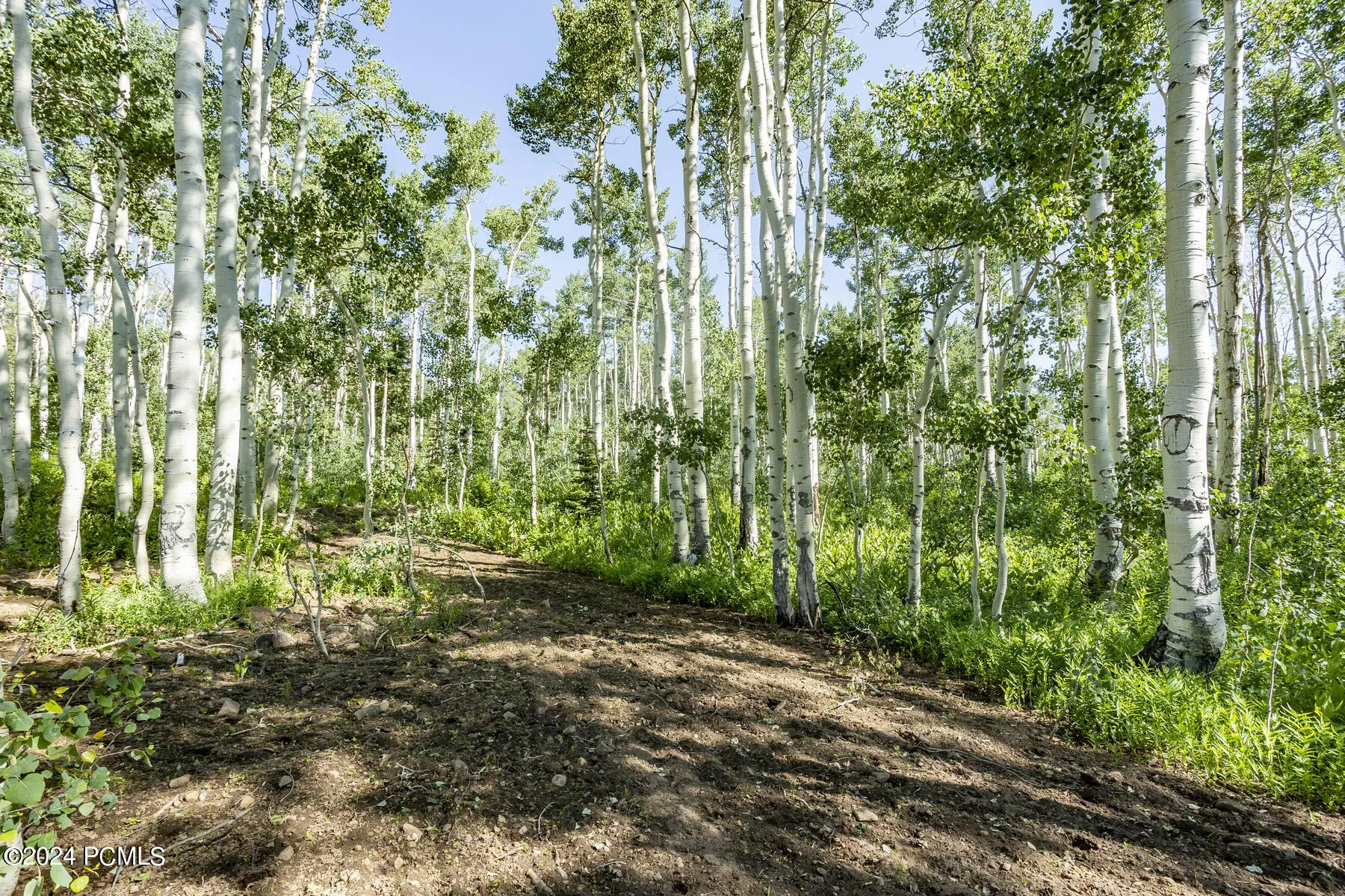 5156 N Pebble Drive, Midway, UT 84049