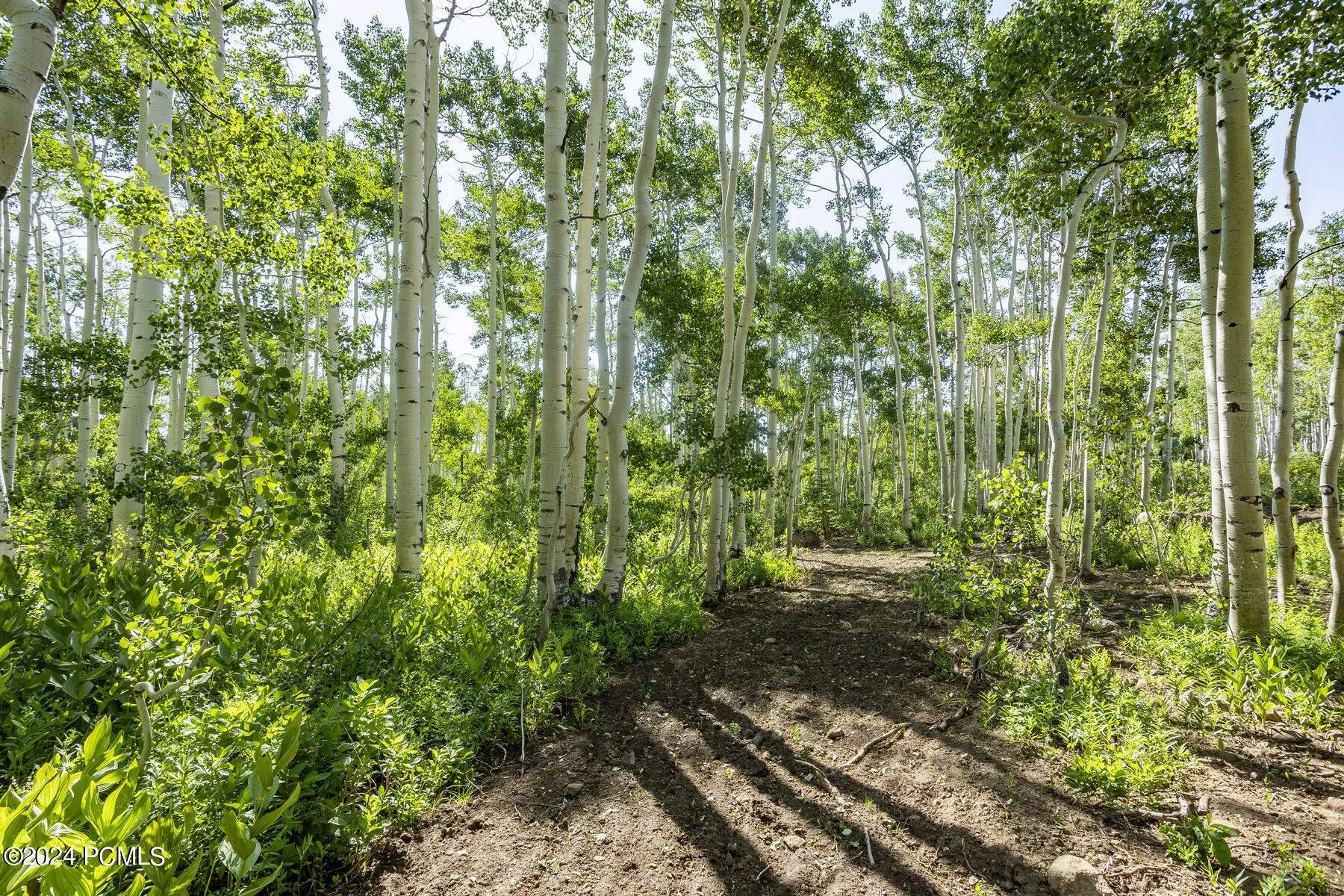 5156 N Pebble Drive, Midway, UT 84049