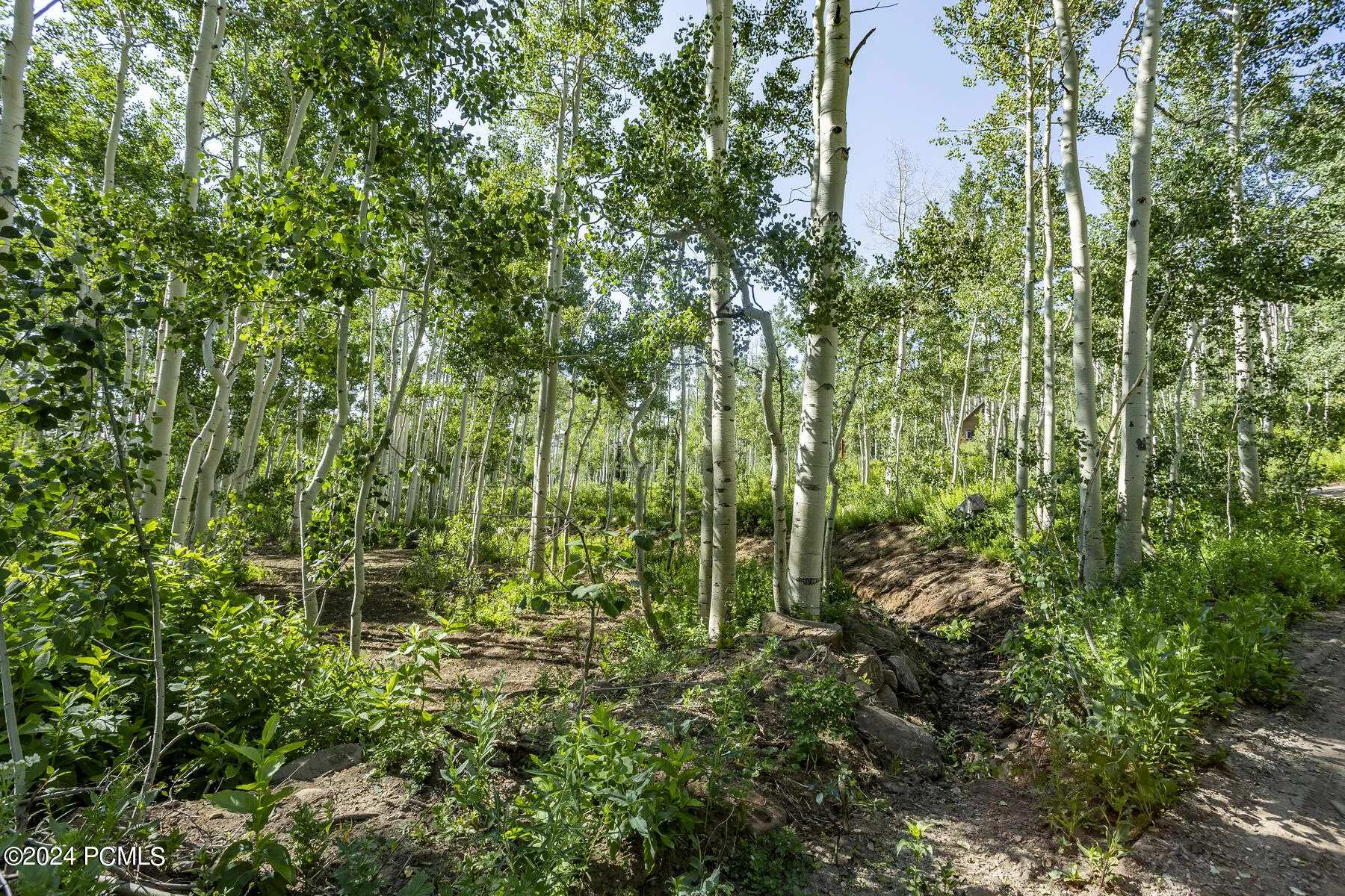 5156 N Pebble Drive, Midway, UT 84049
