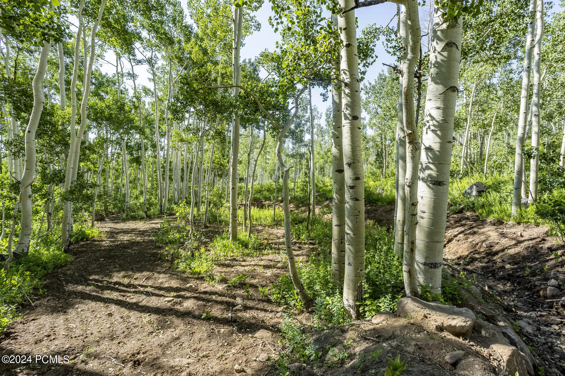 5156 N Pebble Drive, Midway, UT 84049