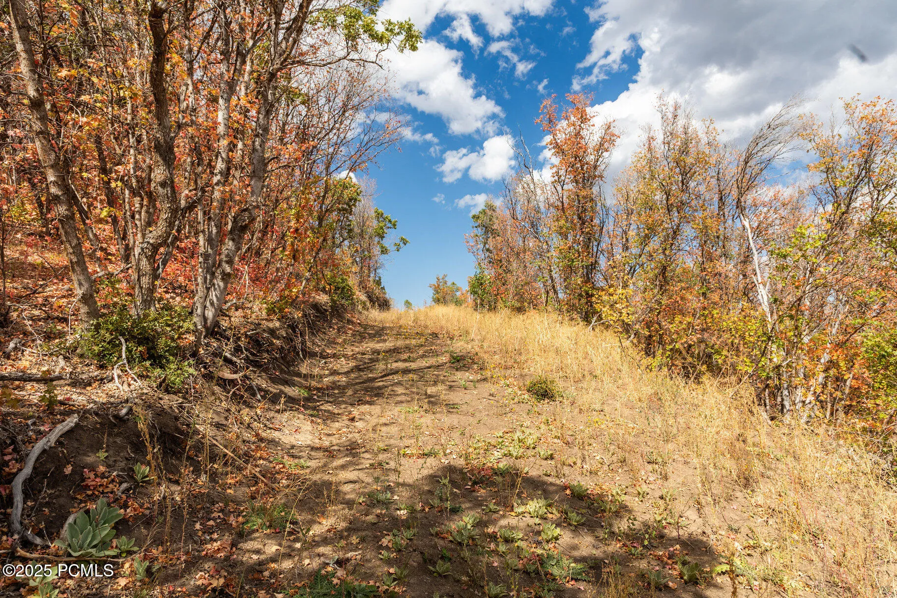 10281 N Terrae Court, Park City, UT 84060