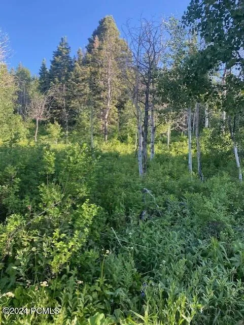 969 W Deep Forest Road, Coalville, UT 84017