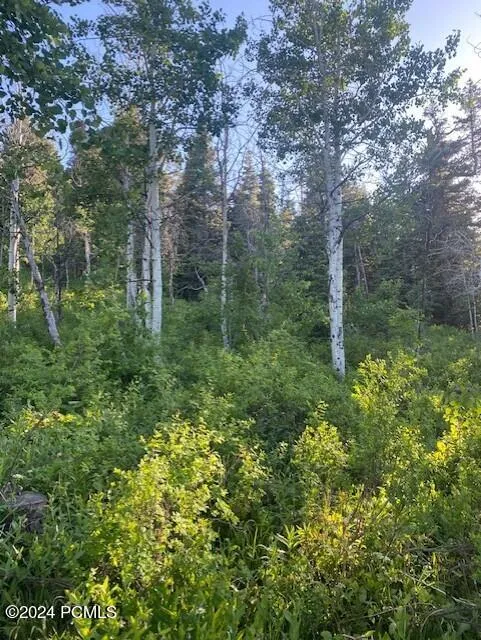 969 W Deep Forest Road, Coalville, UT 84017