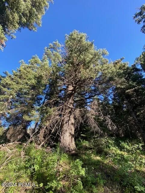 969 W Deep Forest Road, Coalville, UT 84017