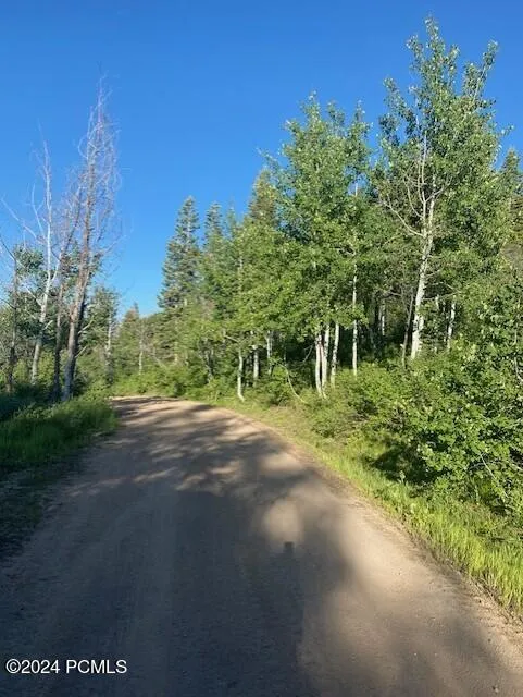 969 W Deep Forest Road, Coalville, UT 84017