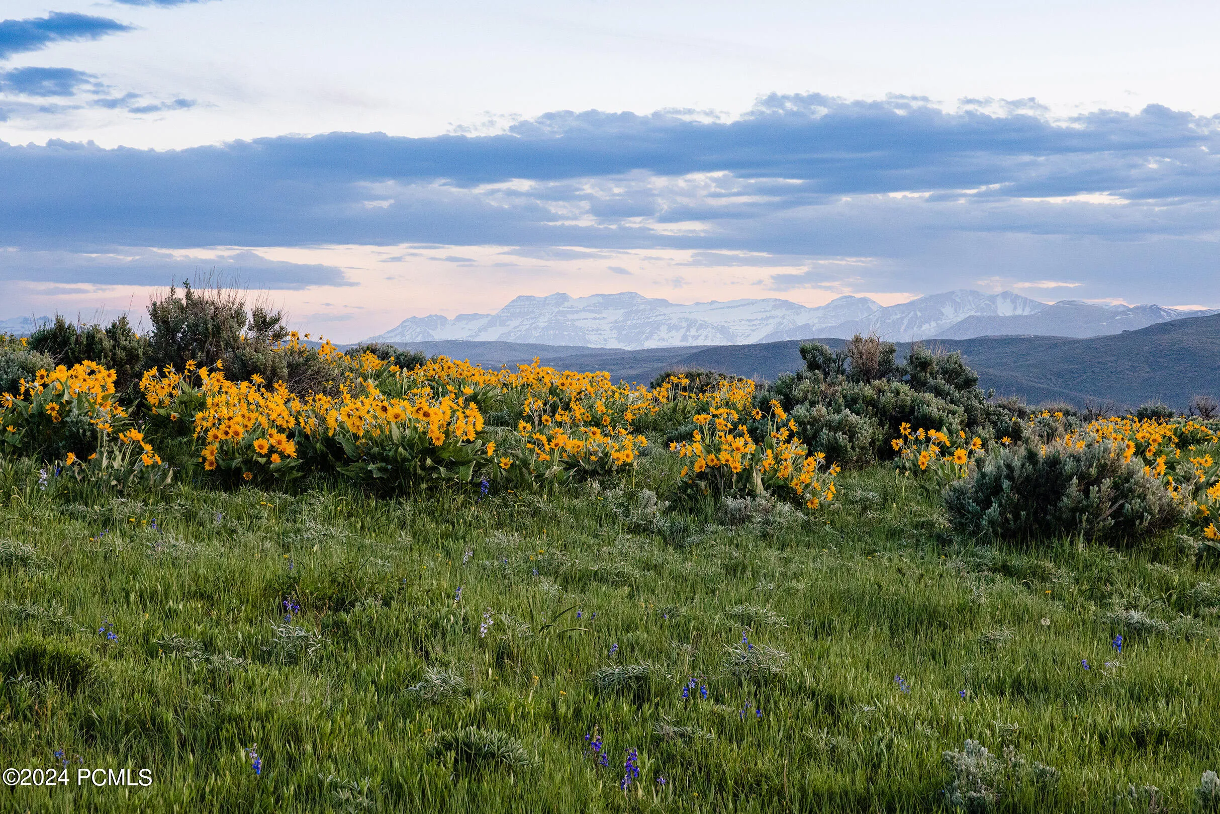 1235 Hoyt Peak Ranch Road, Marion, UT 84036