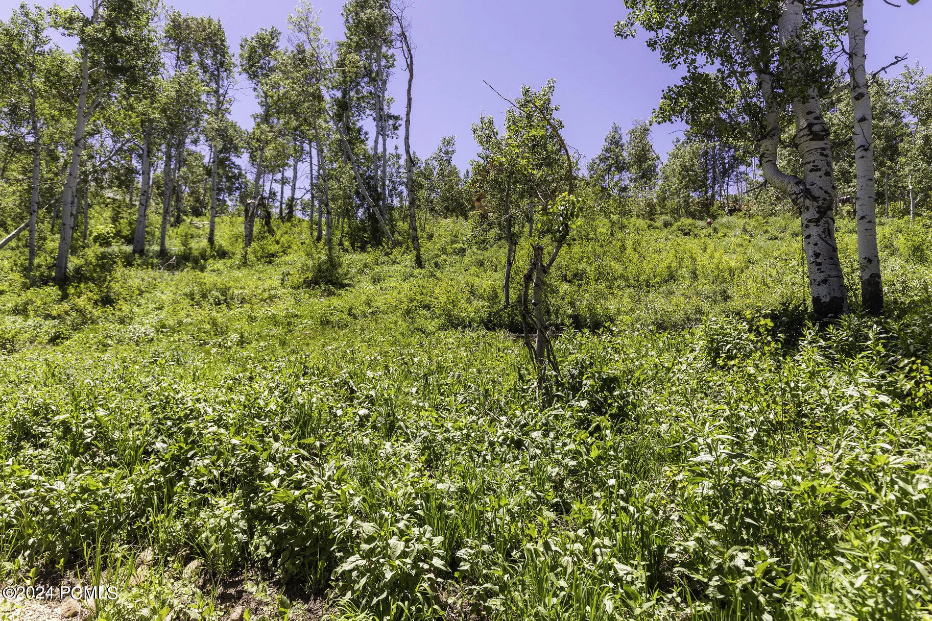 1688 Pine Loop Road, Coalville, UT 84017