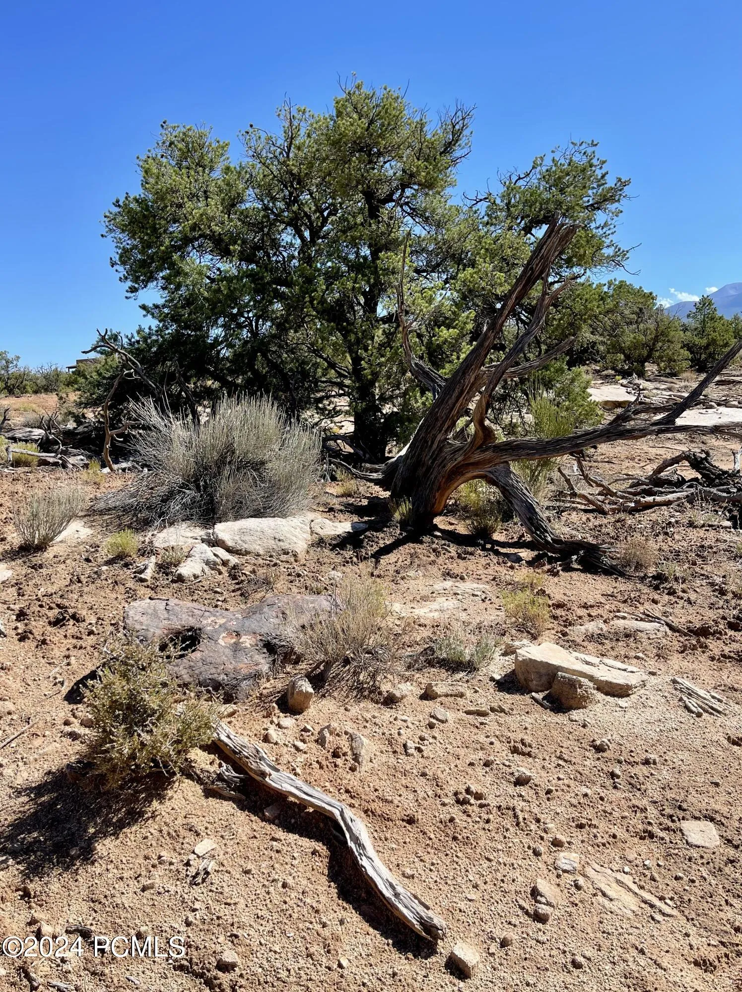 8 Pritchett Arch Trail, Moab, UT 84532