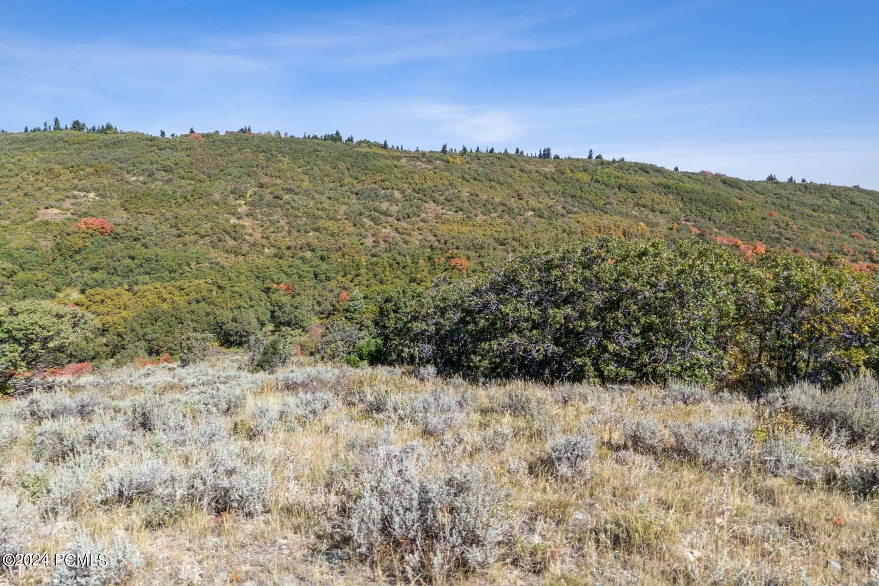 8215 Parleys Lane, Park City, UT 84098