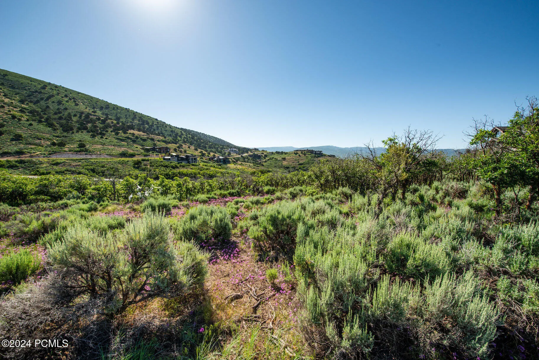 1964 N Lookout Peak Circle, Heber City, UT 84032