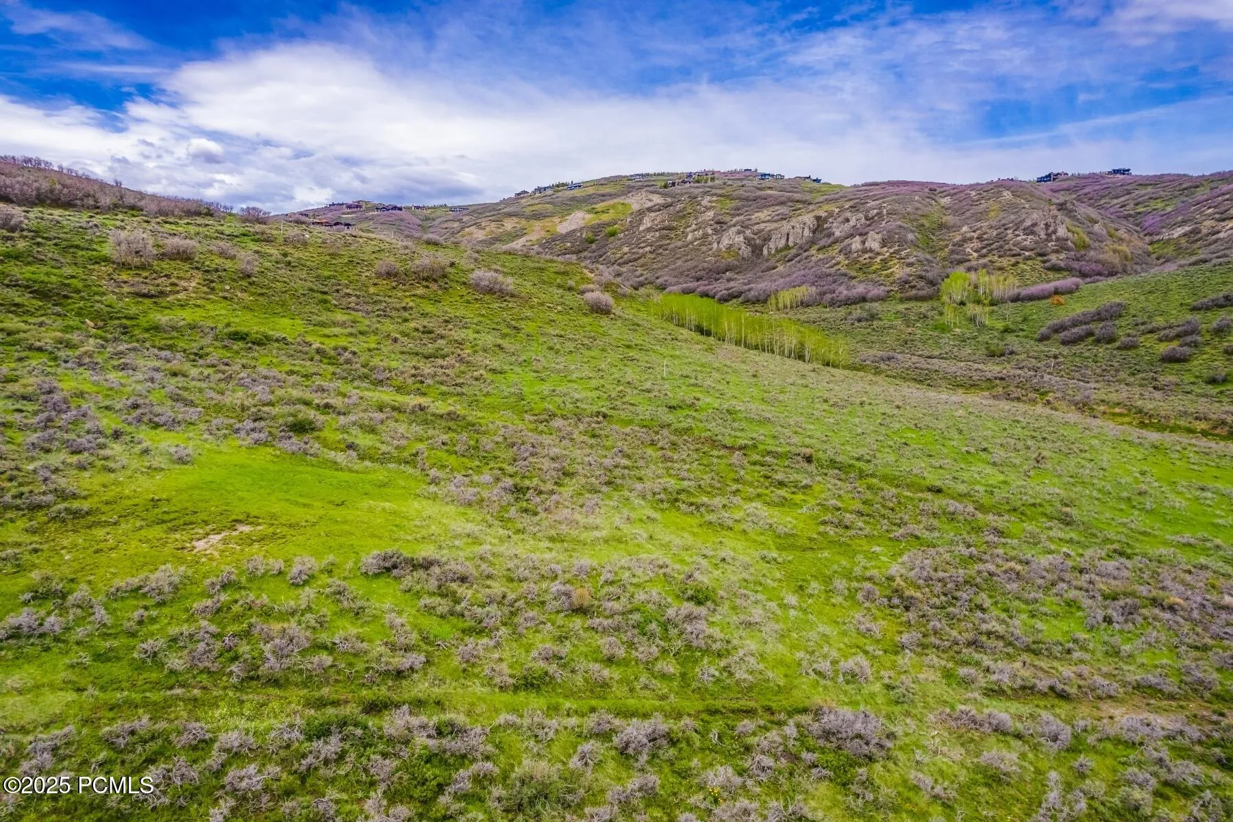 4323 Galts Gulch, Park City, UT 84098